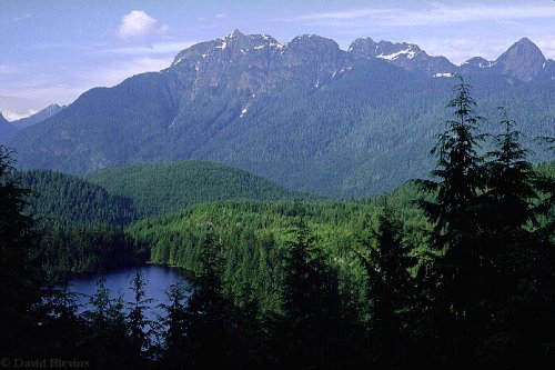 Gwendoline Lake and Golden Ears