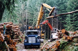 Logging truck loading