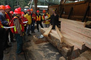 Students learn about wood processing at Gallant Mill
